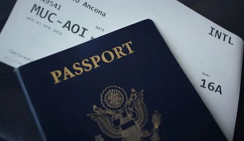 签证申请填错信息了怎么办理