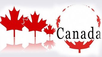 加拿大签证简易流程