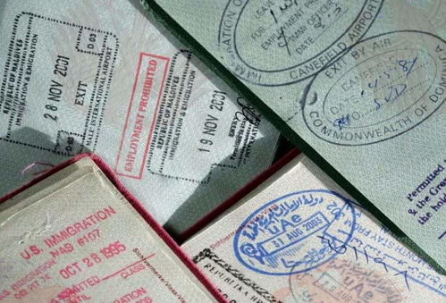美国 签证 拒签