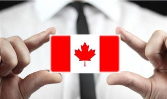 加拿大留学签证拒签率多少