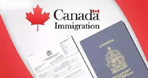 加拿大签证申请条件