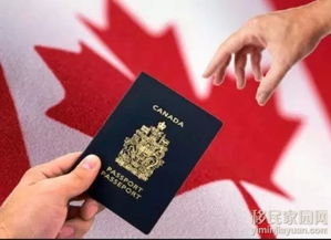 加拿大签证申请条件