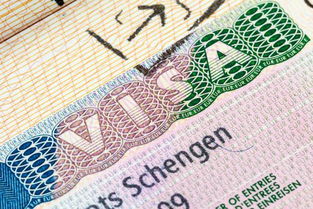 申根签证拒签的影响