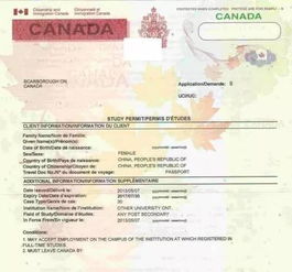 加拿大学生签证拒签率多少