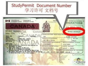 签证有效期过期，下次还能申请吗?