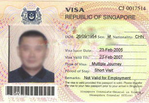 新加坡签证照片要求