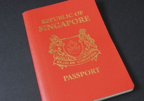 新加坡签证照片规格尺寸