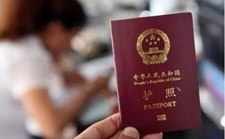 新加坡签证照片要求头发