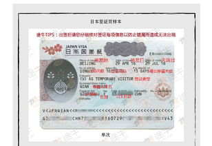 日本签证被拒签了还可以再申请吗?