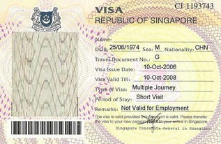 新加坡签证样子