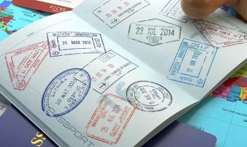 签证一般是由哪个部门进行下发确认