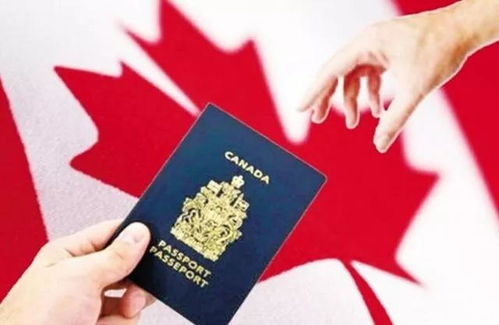 加拿大留学签证拒签原因