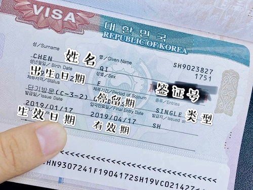 签证证件种类怎么选