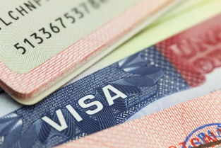 更新签证需要什么
