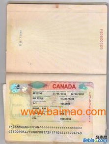 加拿大签证申请步骤